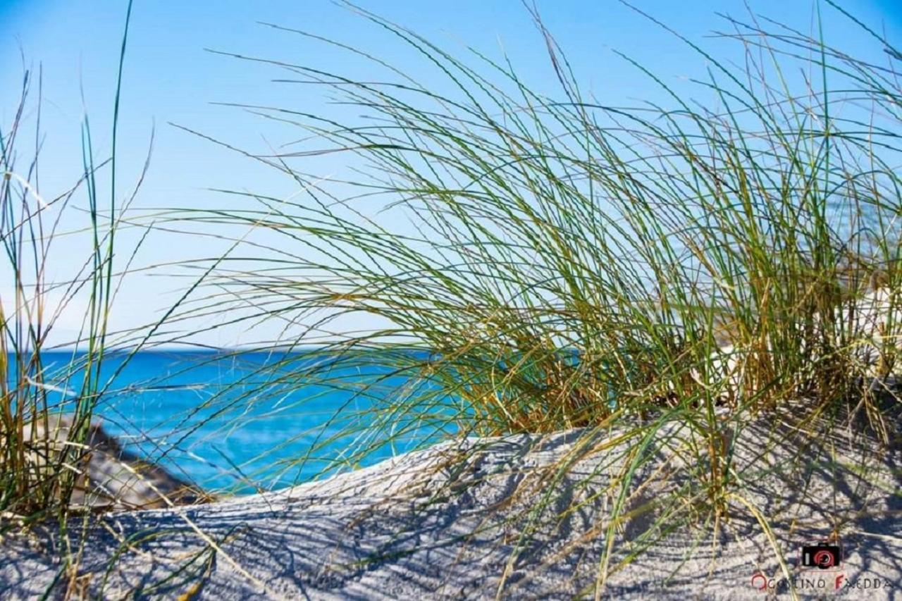 Casa Vacanza Le Dune Villa Sant'Anna Arresi Ngoại thất bức ảnh